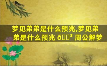 梦见弟弟是什么预兆,梦见弟弟是什么预兆 🌳 周公解梦